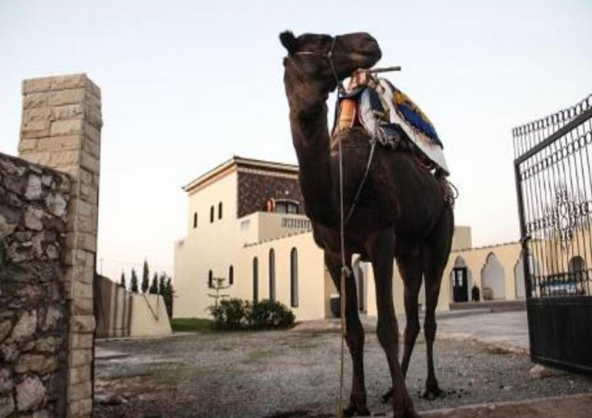 Sidi Kaouki Ayt Karoum Hotell Eksteriør bilde